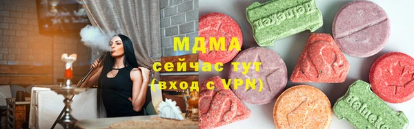 прущие грибы Архангельск